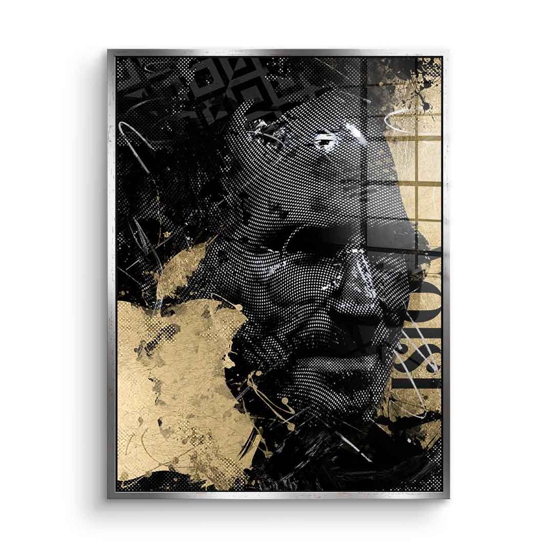 Luxury Steve - Acrylic glass