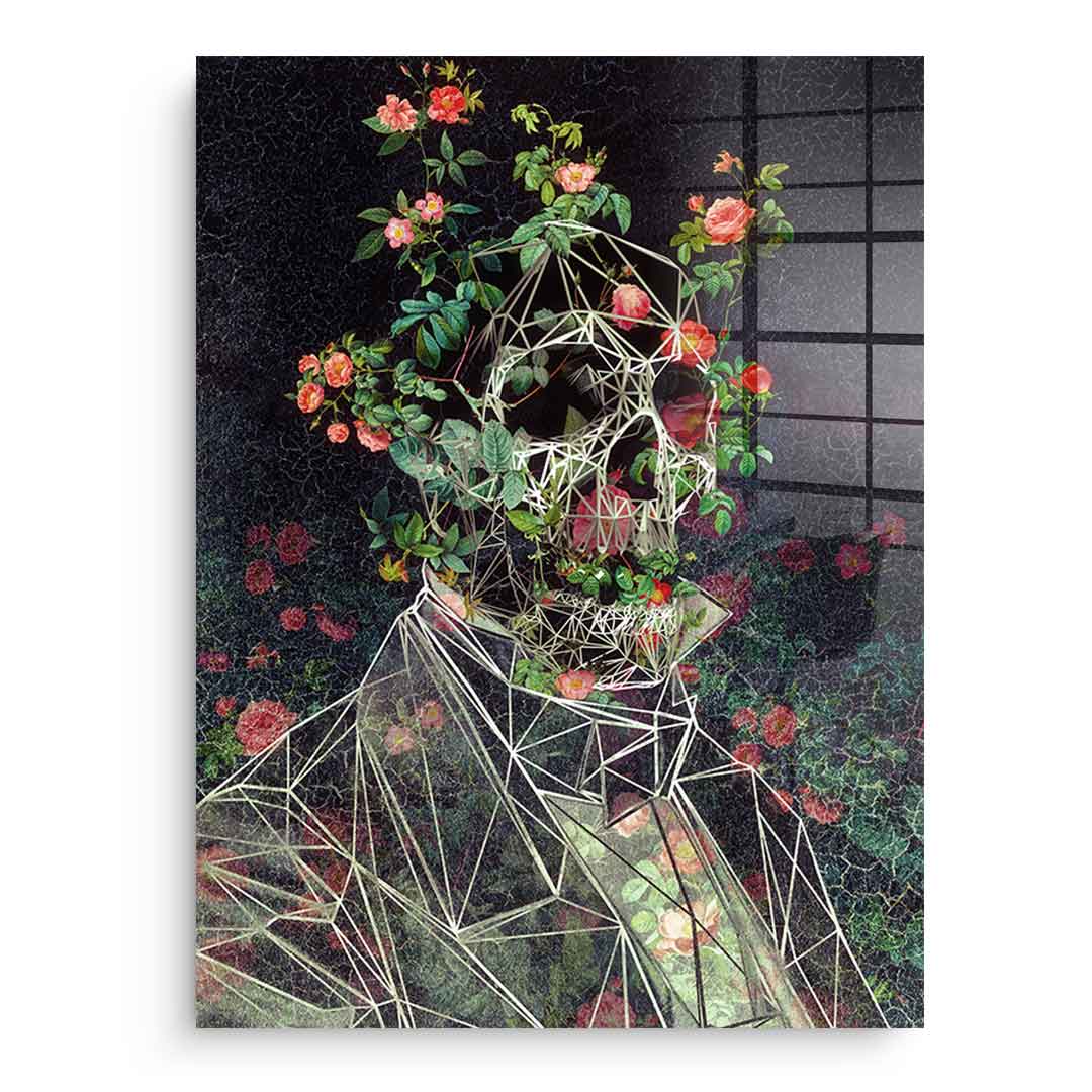 MrCage - Acrylic glass