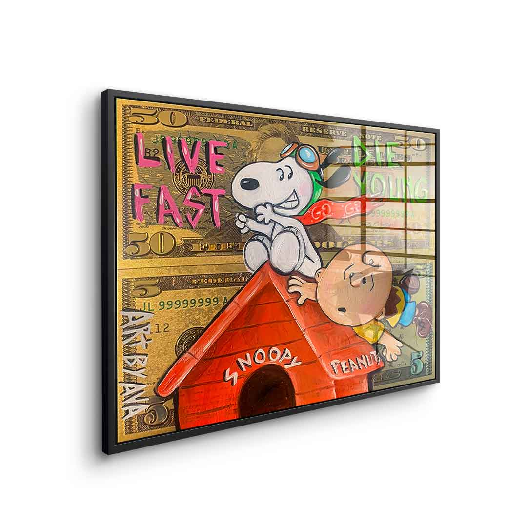 Flying Peanuts - Acrylic glass