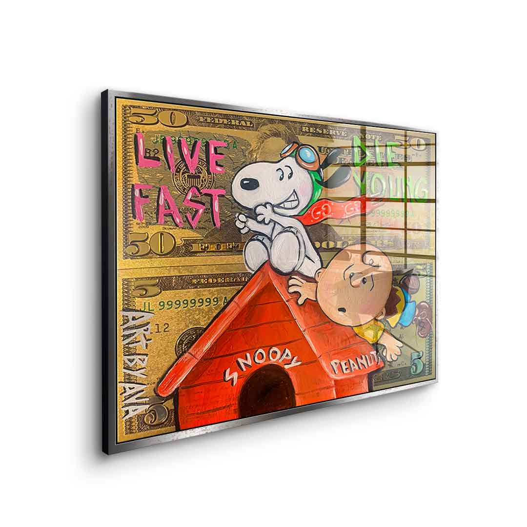 Flying Peanuts - Acrylic glass