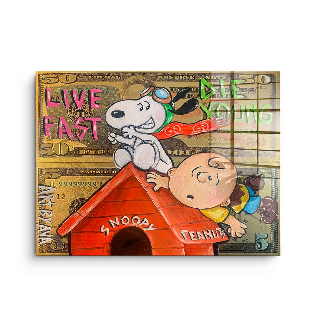 Flying Peanuts - Acrylglas