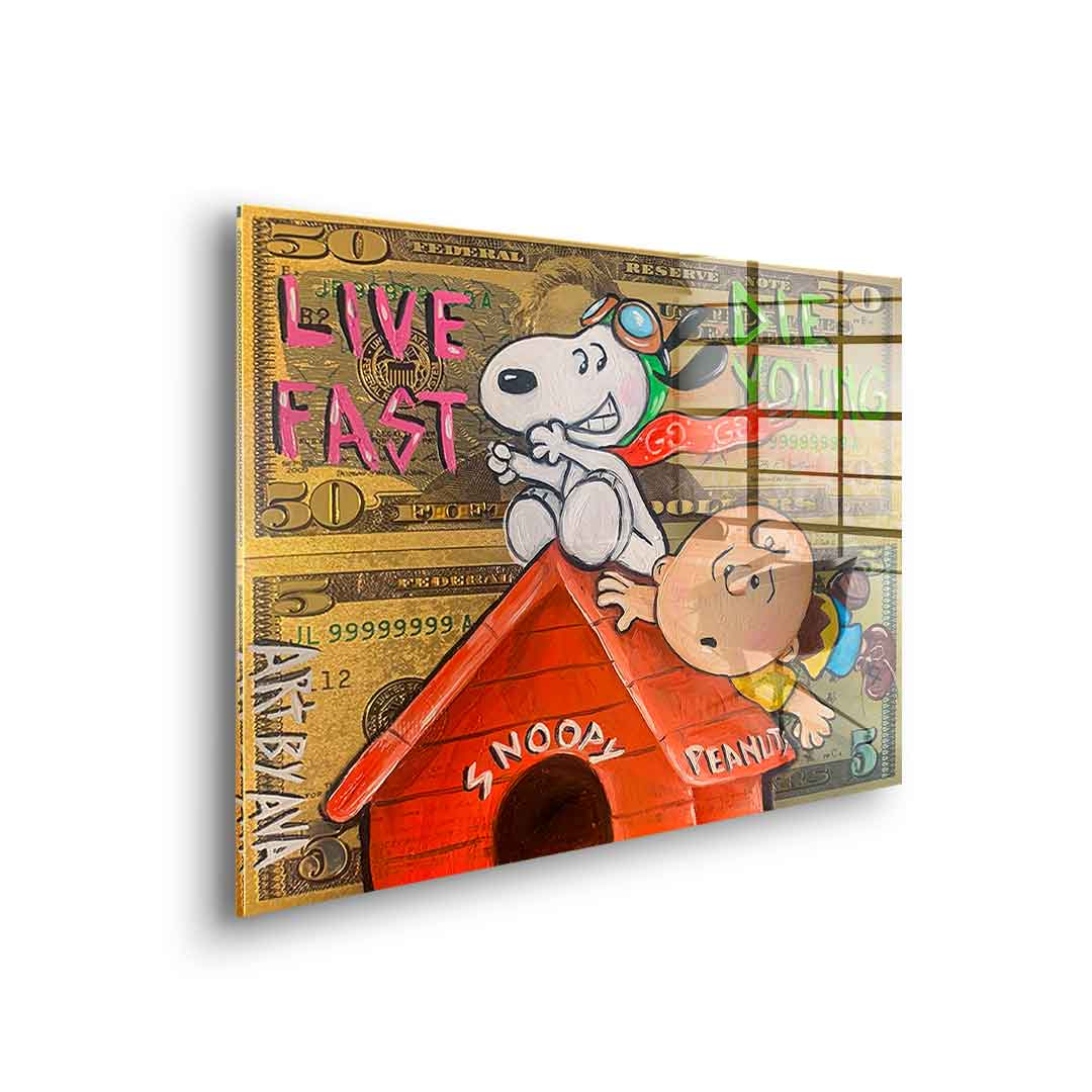 Flying Peanuts - Acrylglas