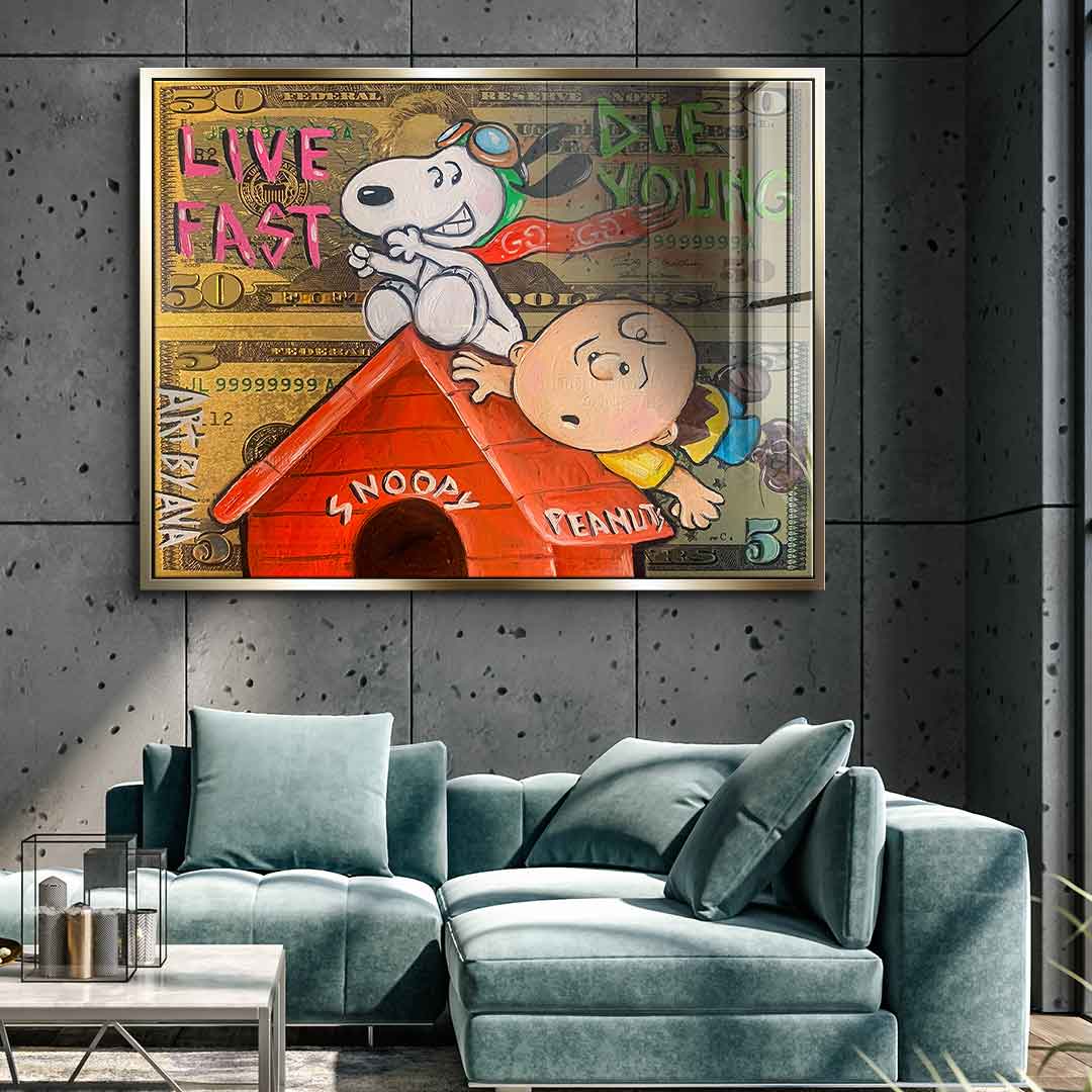 Flying Peanuts - Acrylic glass