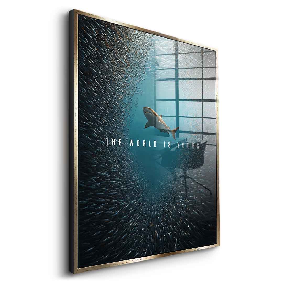 THE WORLD IS YOURS - acrylic glass