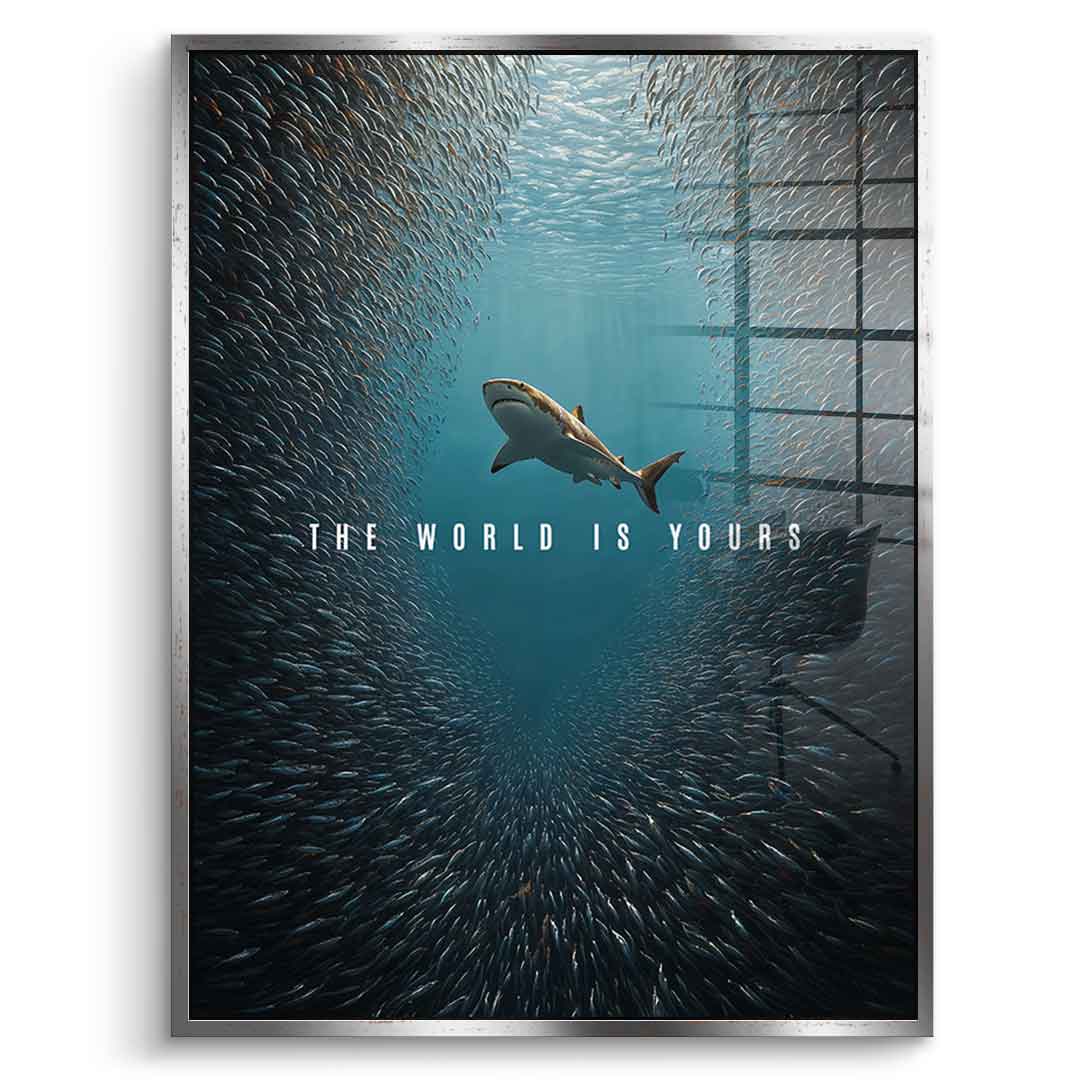 THE WORLD IS YOURS - Acrylglas