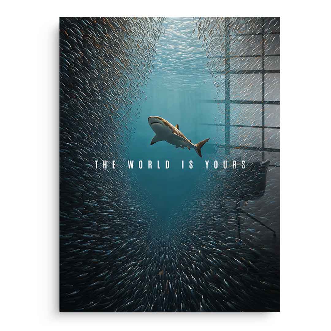 THE WORLD IS YOURS - acrylic glass