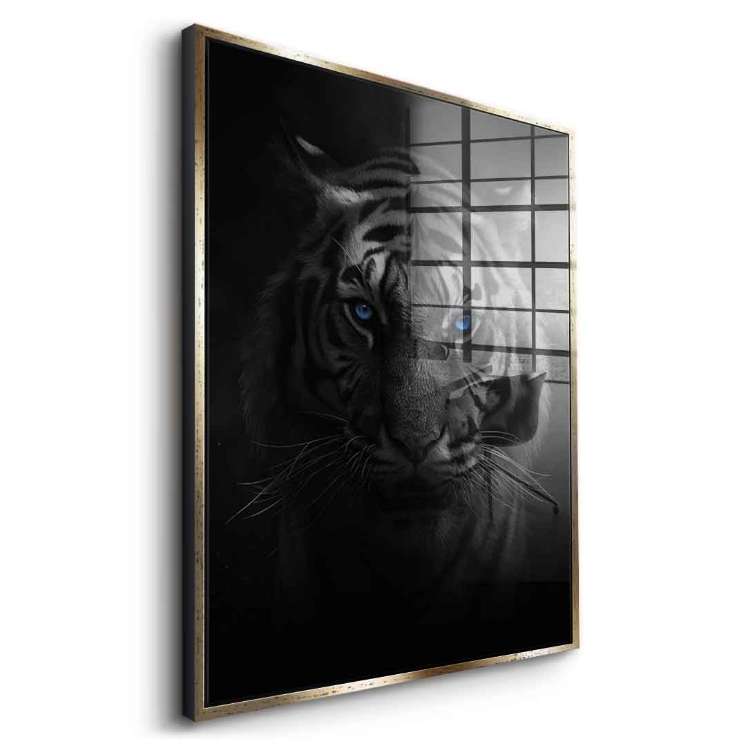 Tiger - acrylic glass