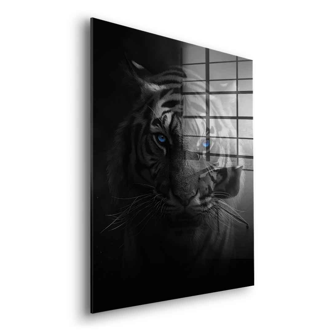 Tiger - acrylic glass