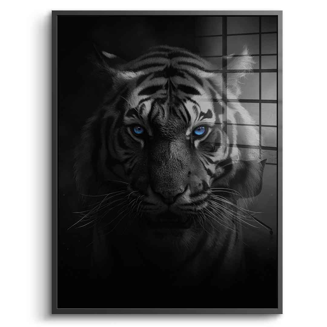 Tiger - acrylic glass