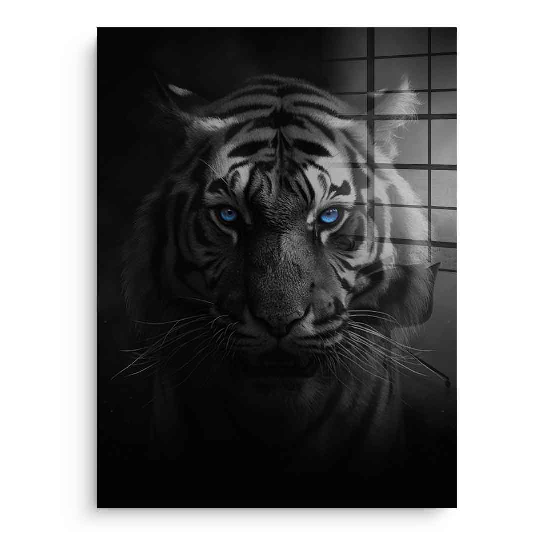 Tiger - acrylic glass