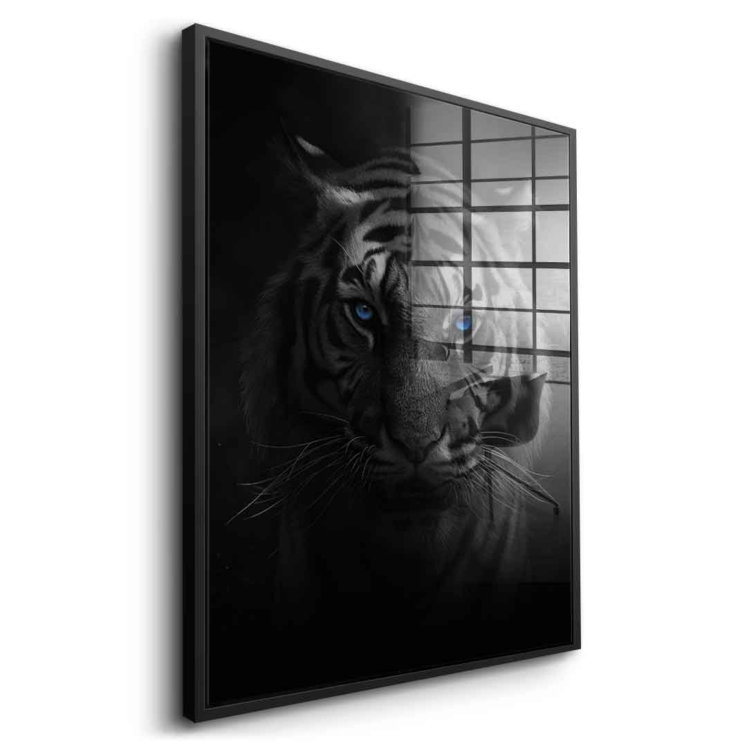 Tiger - acrylic glass