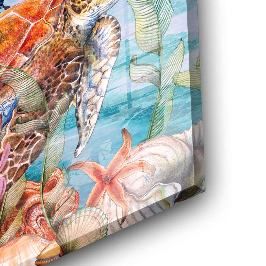 Tropical Sea - Acrylic glass