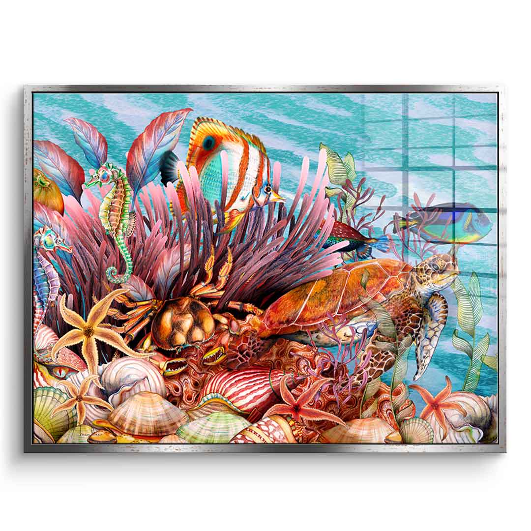 Tropical Sea - Acrylglas