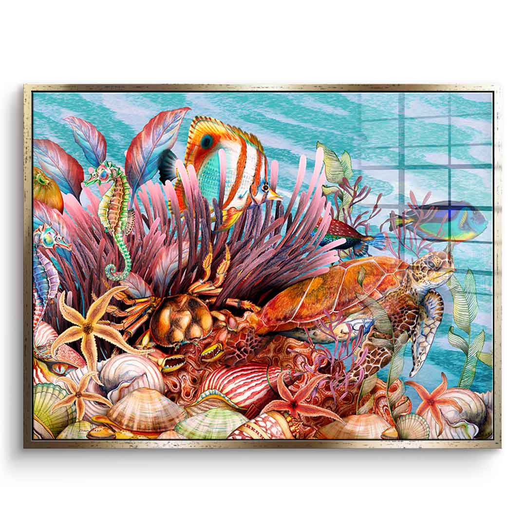 Tropical Sea - Acrylglas