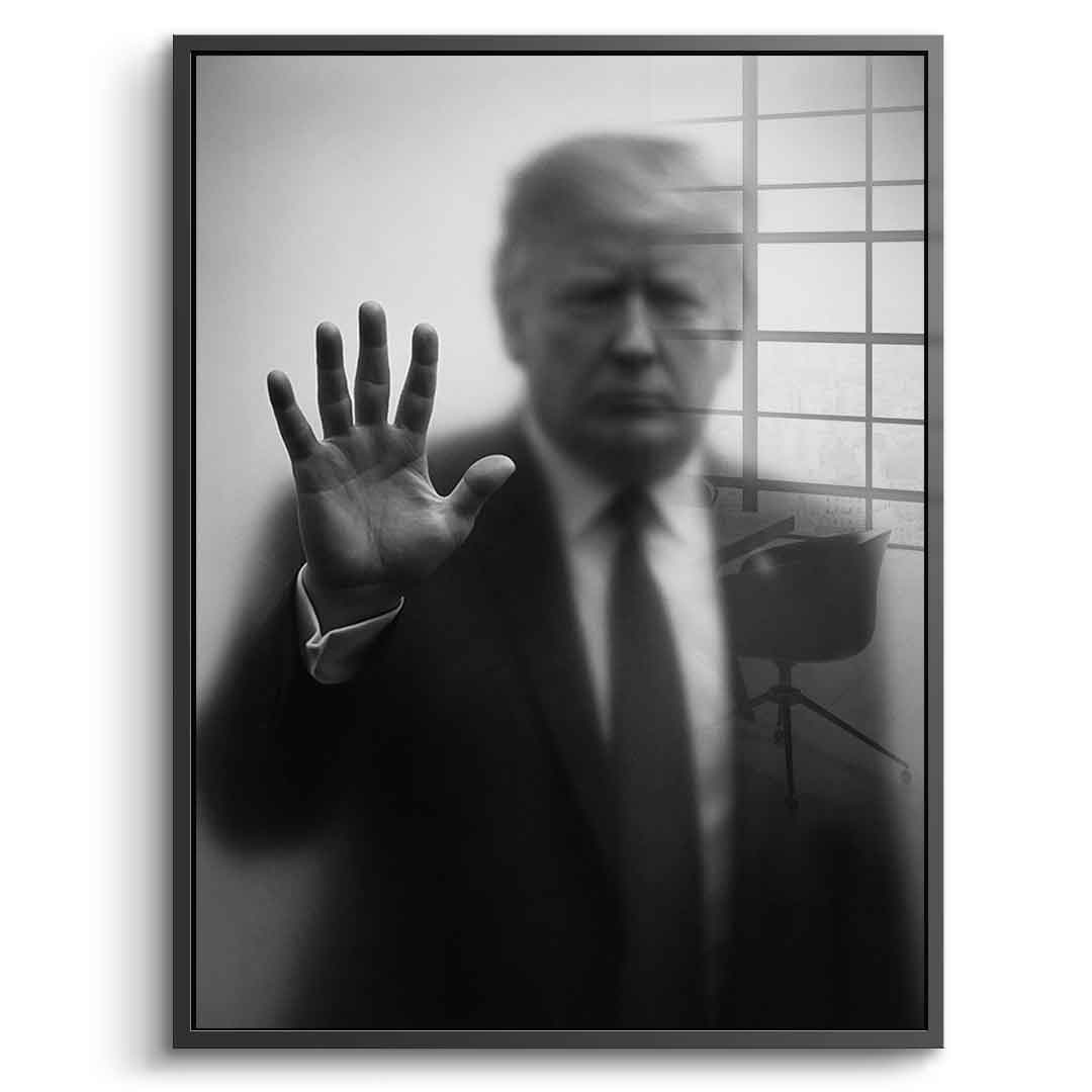 Trump's Silhouette - Acrylglas