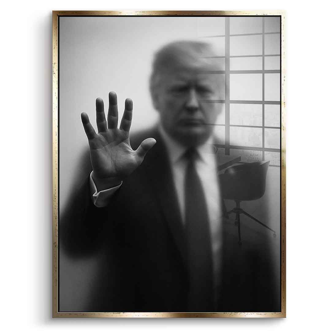 Trump's Silhouette - Acrylglas