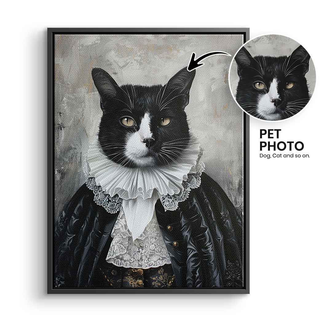 Renaissance 6 customizable