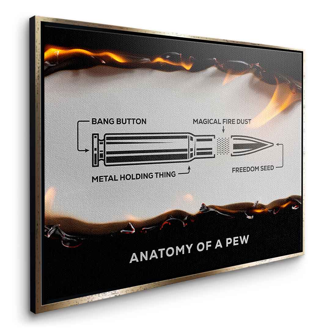 Anatomy of a Pew