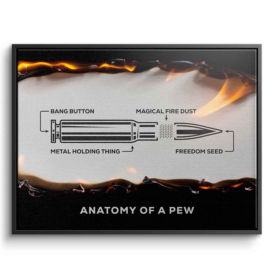 Anatomy of a Pew