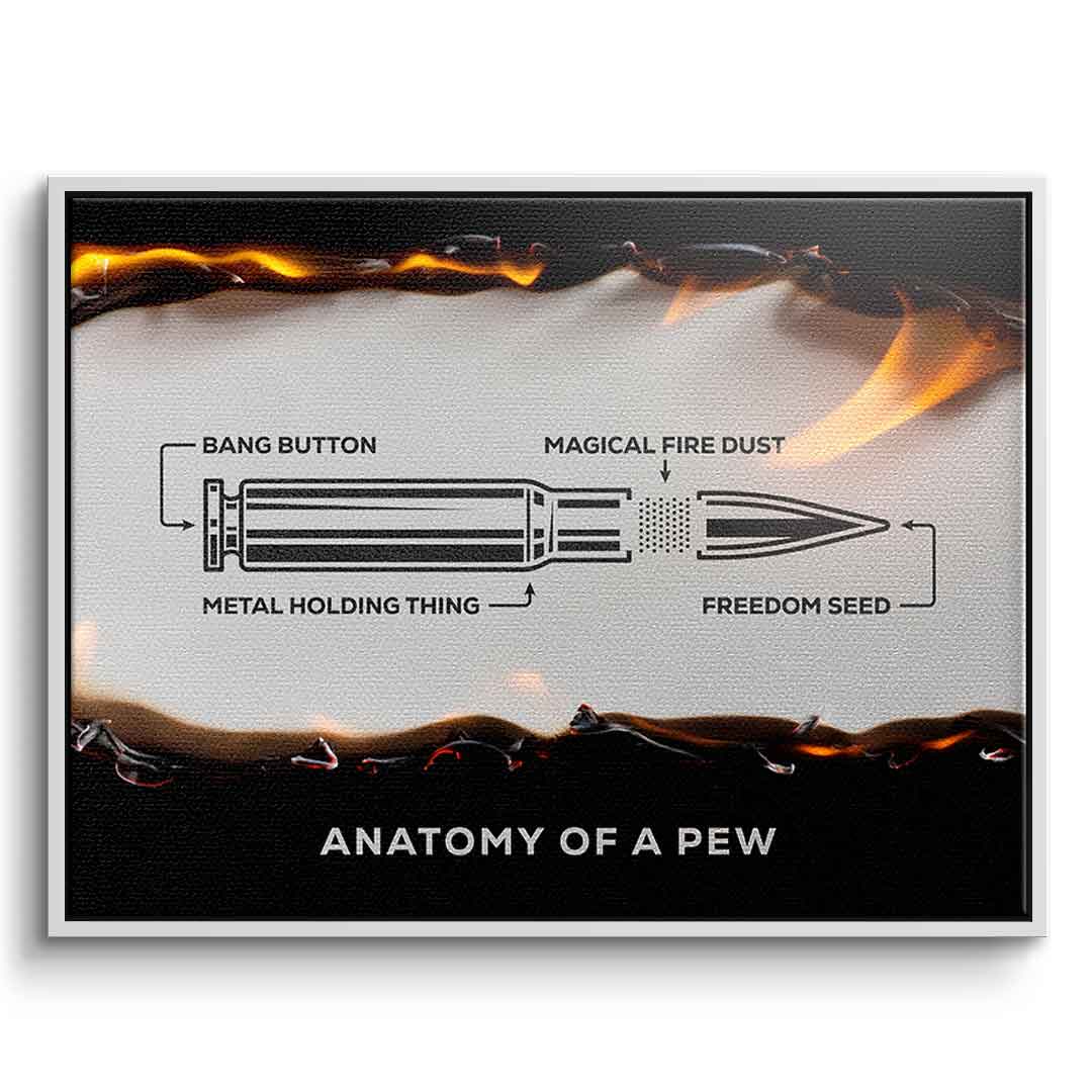 Anatomy of a Pew