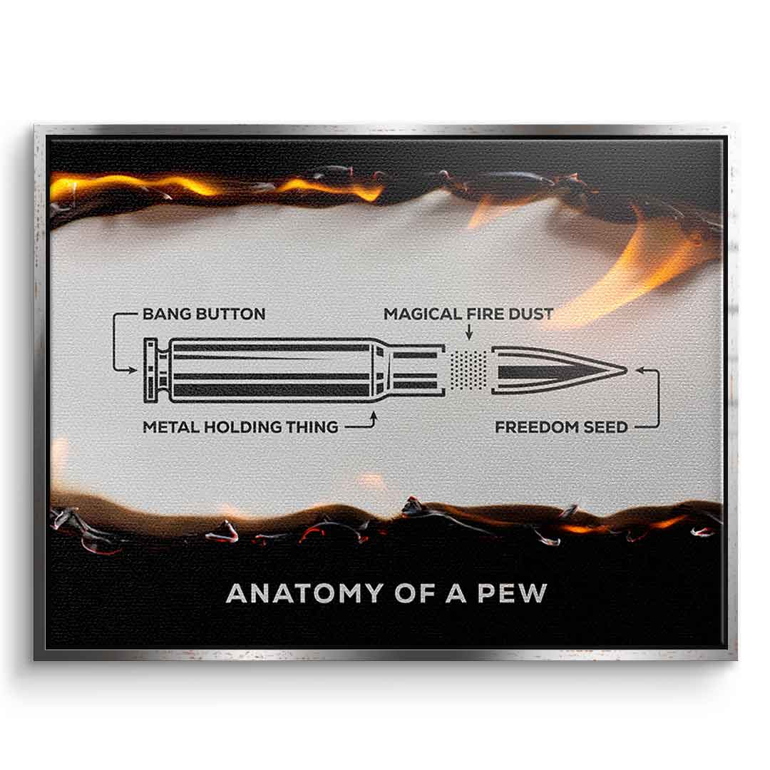 Anatomy of a Pew