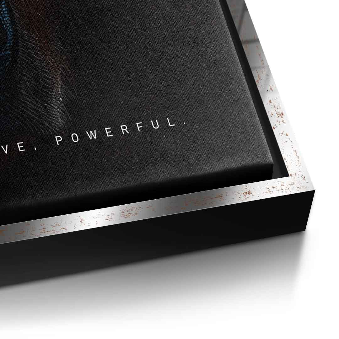 Bear Fusion - Quadrat Edition