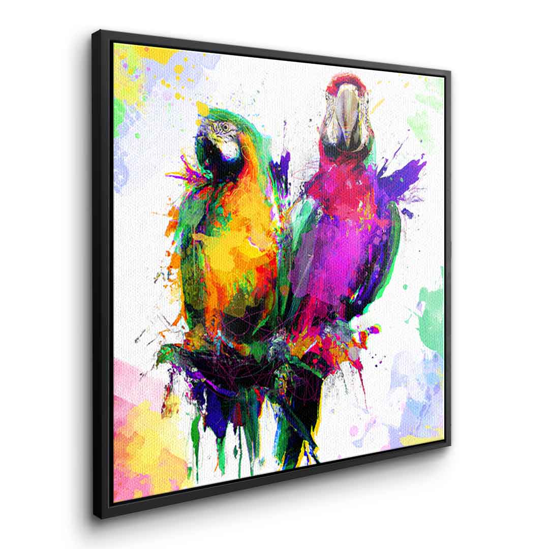 Colorful Parrot