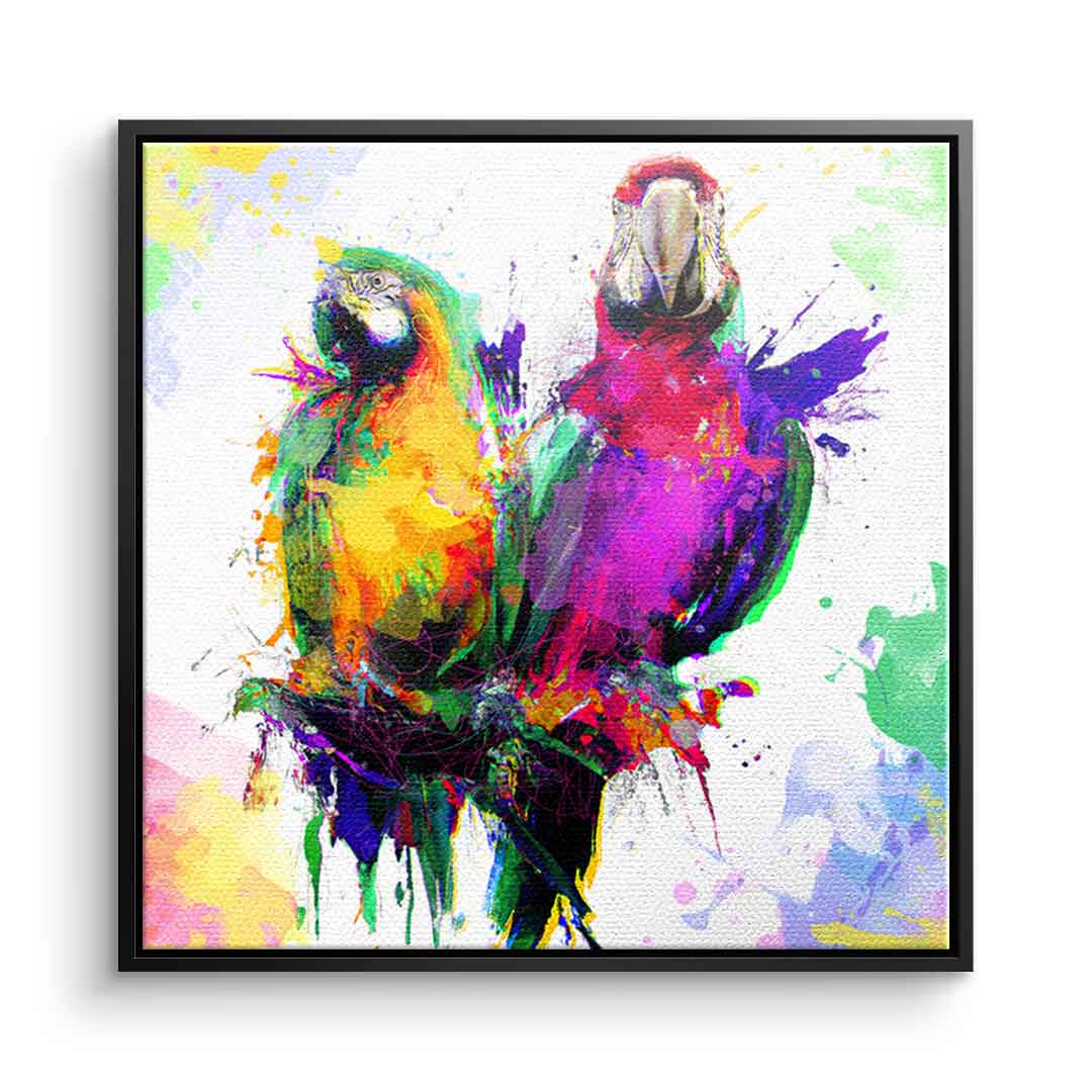 Colorful Parrot