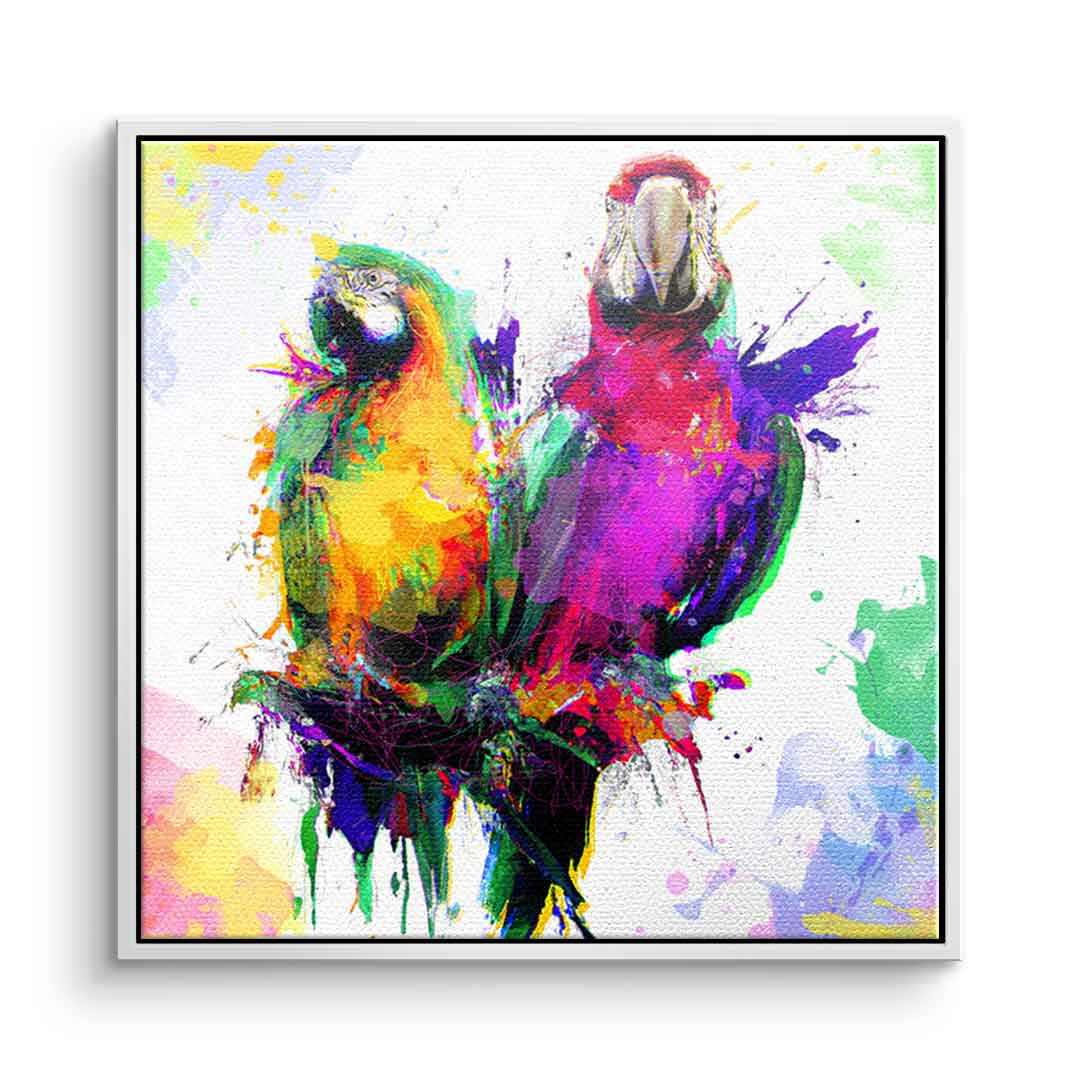 Colorful Parrot