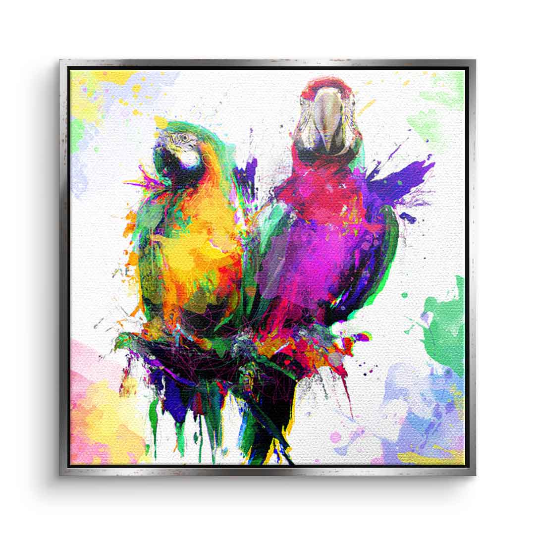 Colorful Parrot