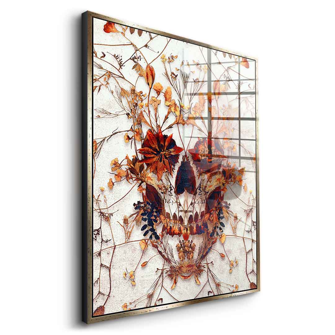 Delicate Skull - Acrylglas