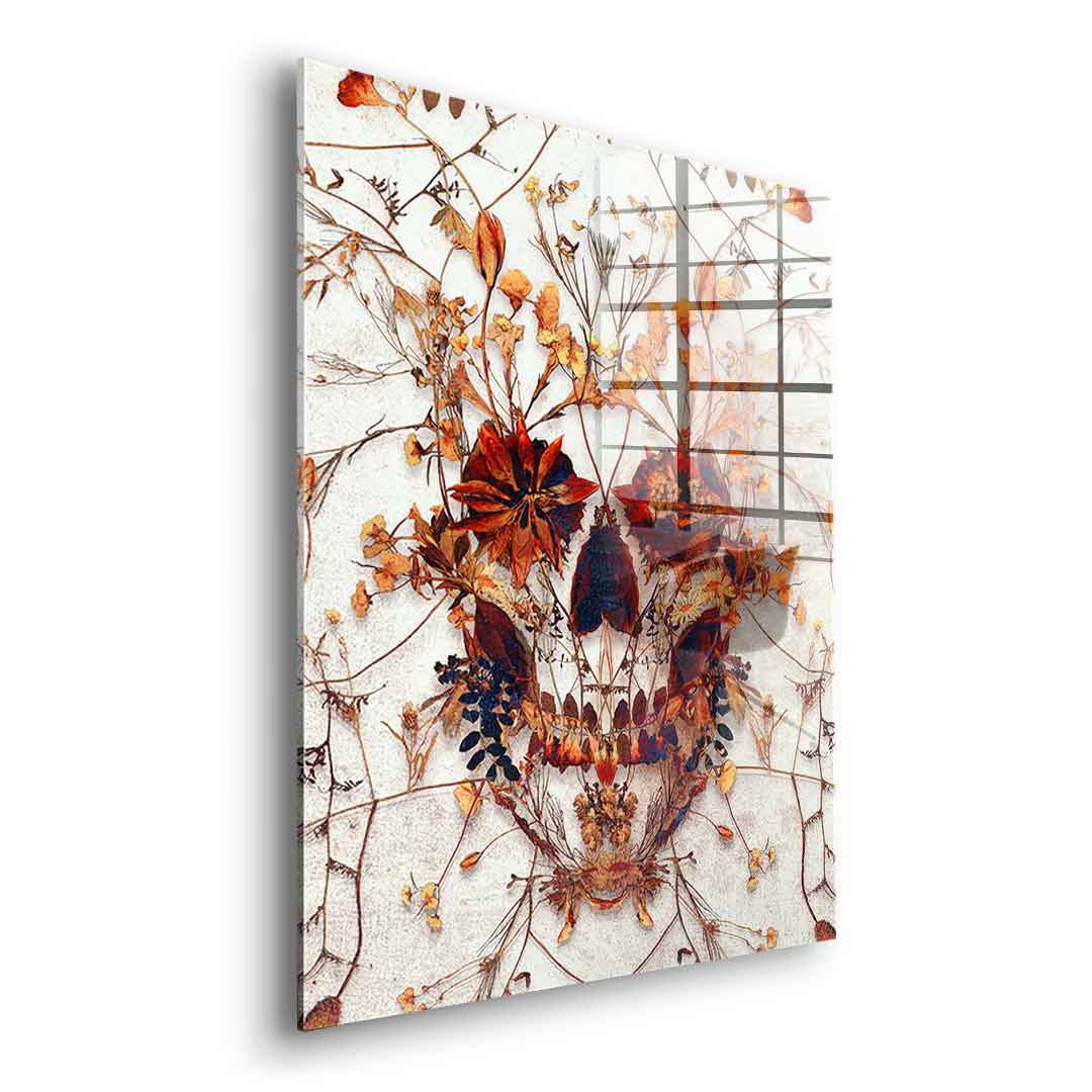 Delicate Skull - Acrylic Glass