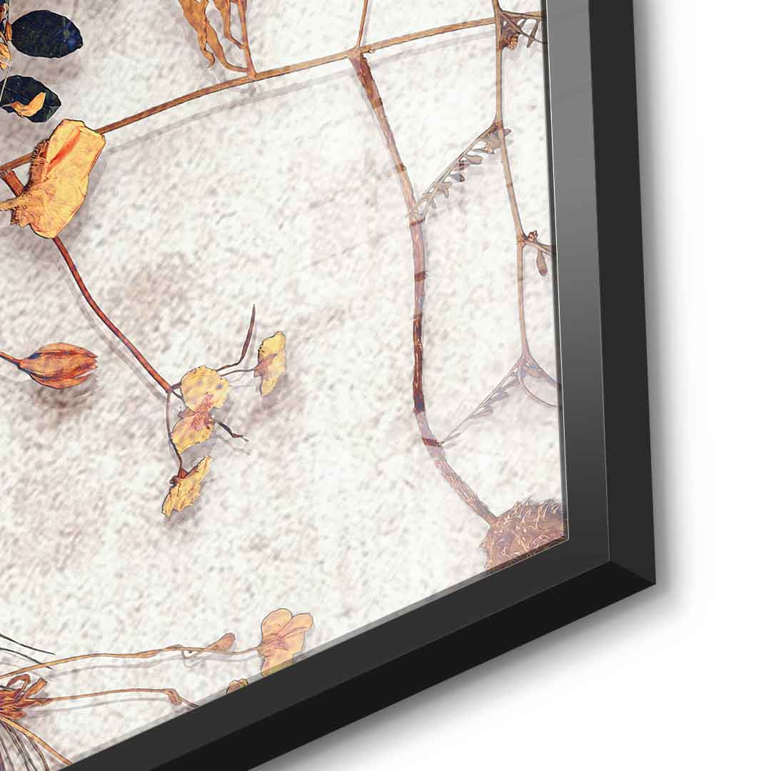 Delicate Skull - Acrylglas