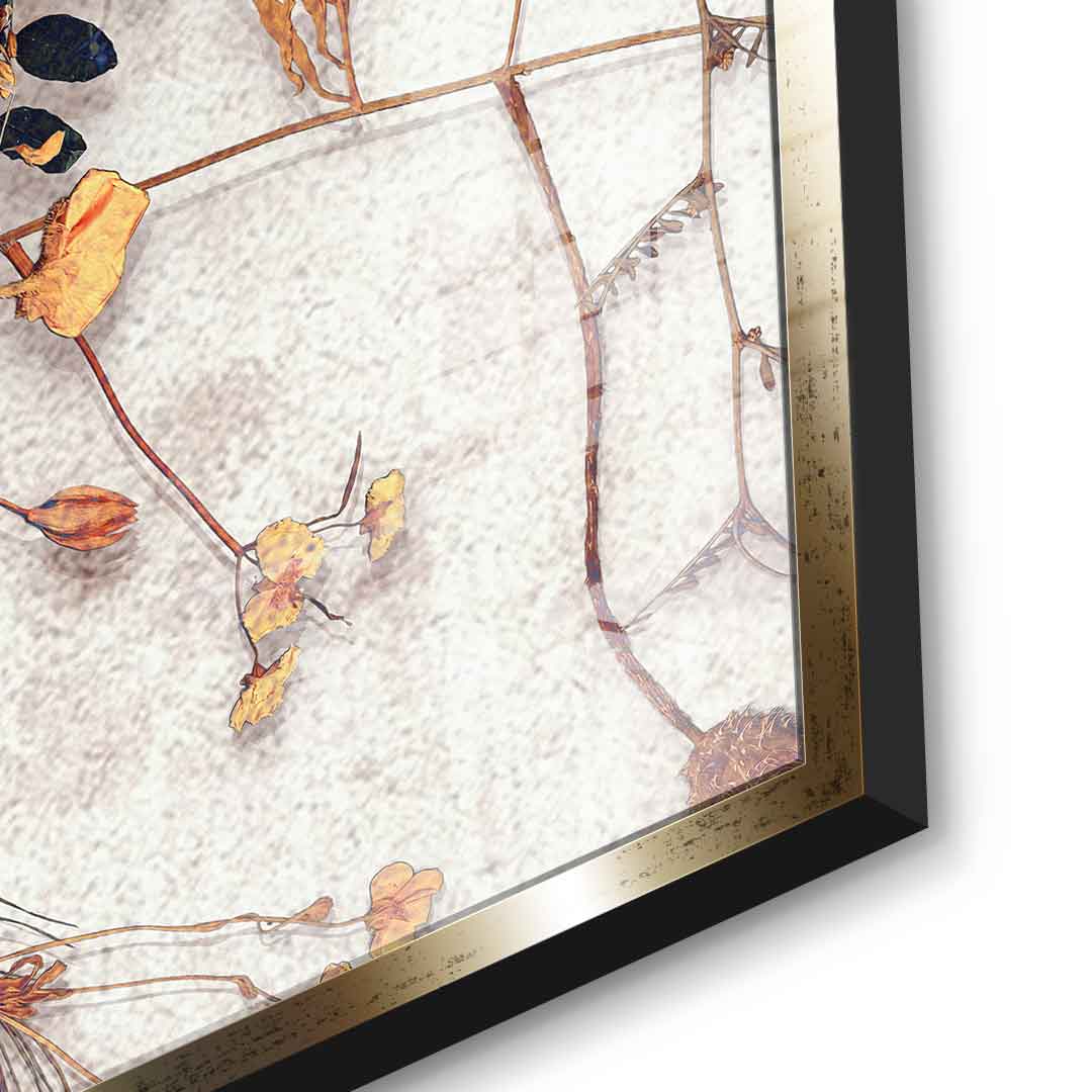 Delicate Skull - Acrylic Glass