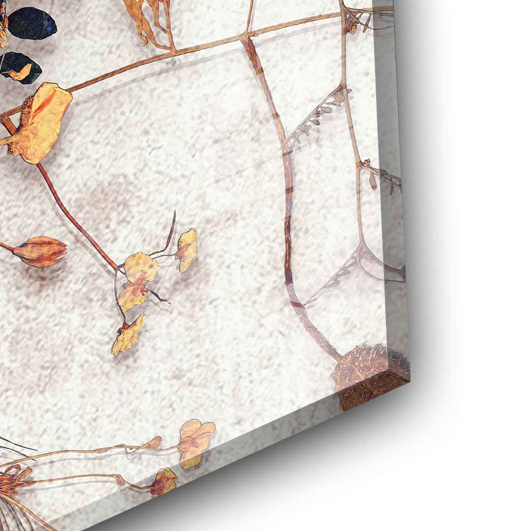 Delicate Skull - Acrylglas