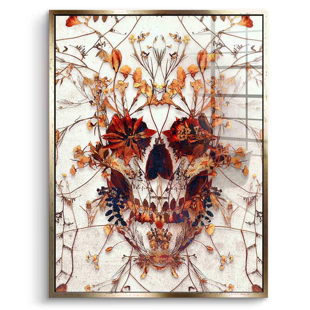 Delicate Skull - Acrylic Glass