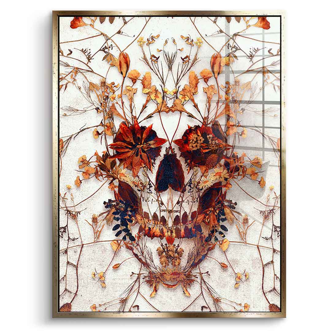 Delicate Skull - Acrylglas