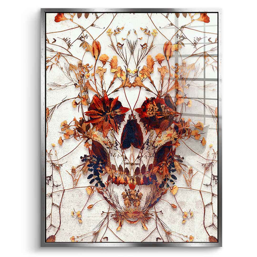 Delicate Skull - Acrylglas
