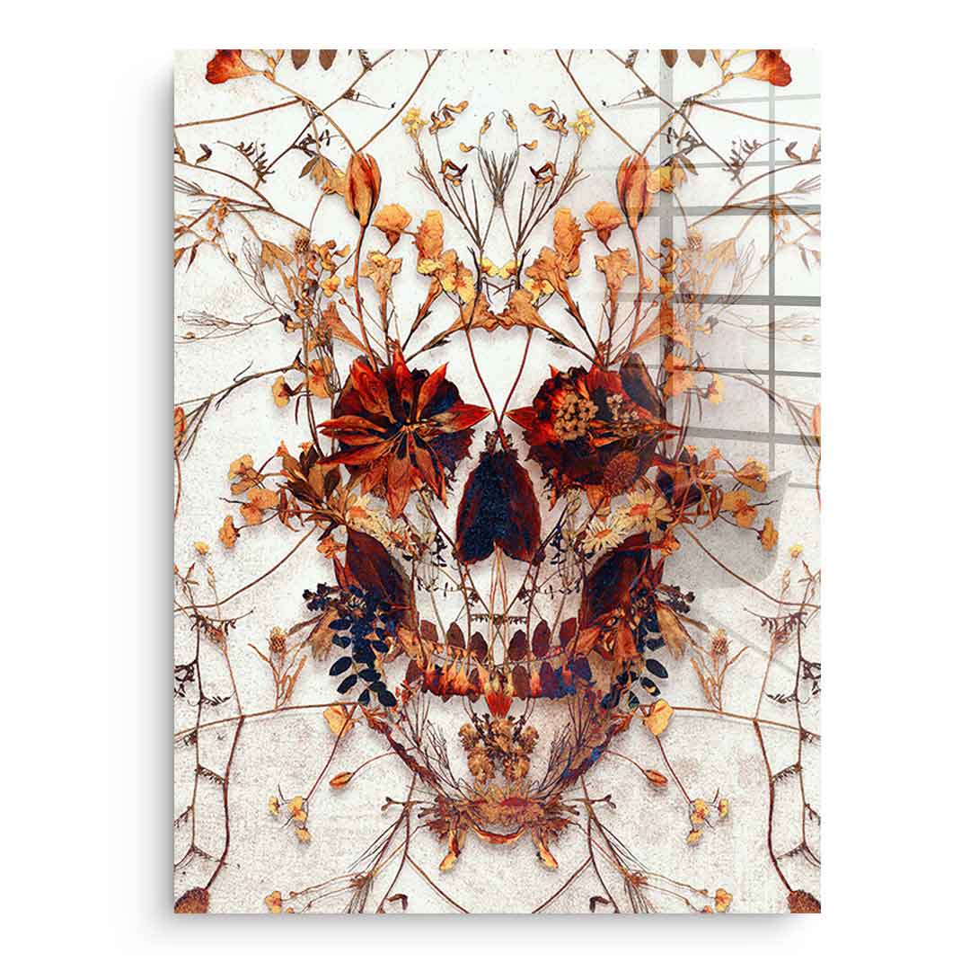 Delicate Skull - Acrylic Glass