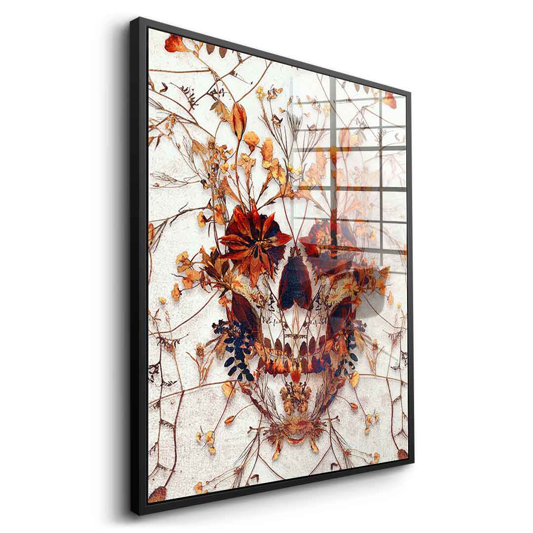 Delicate Skull - Acrylic Glass