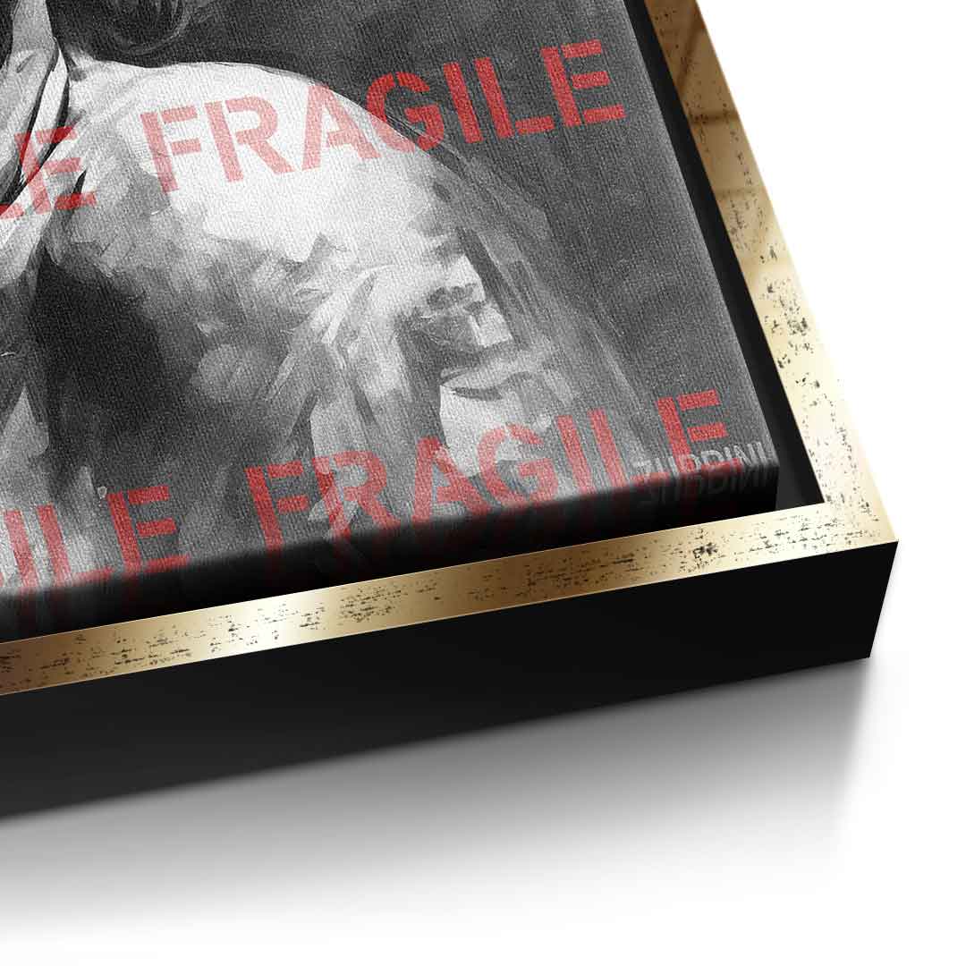 Fragile Monroe