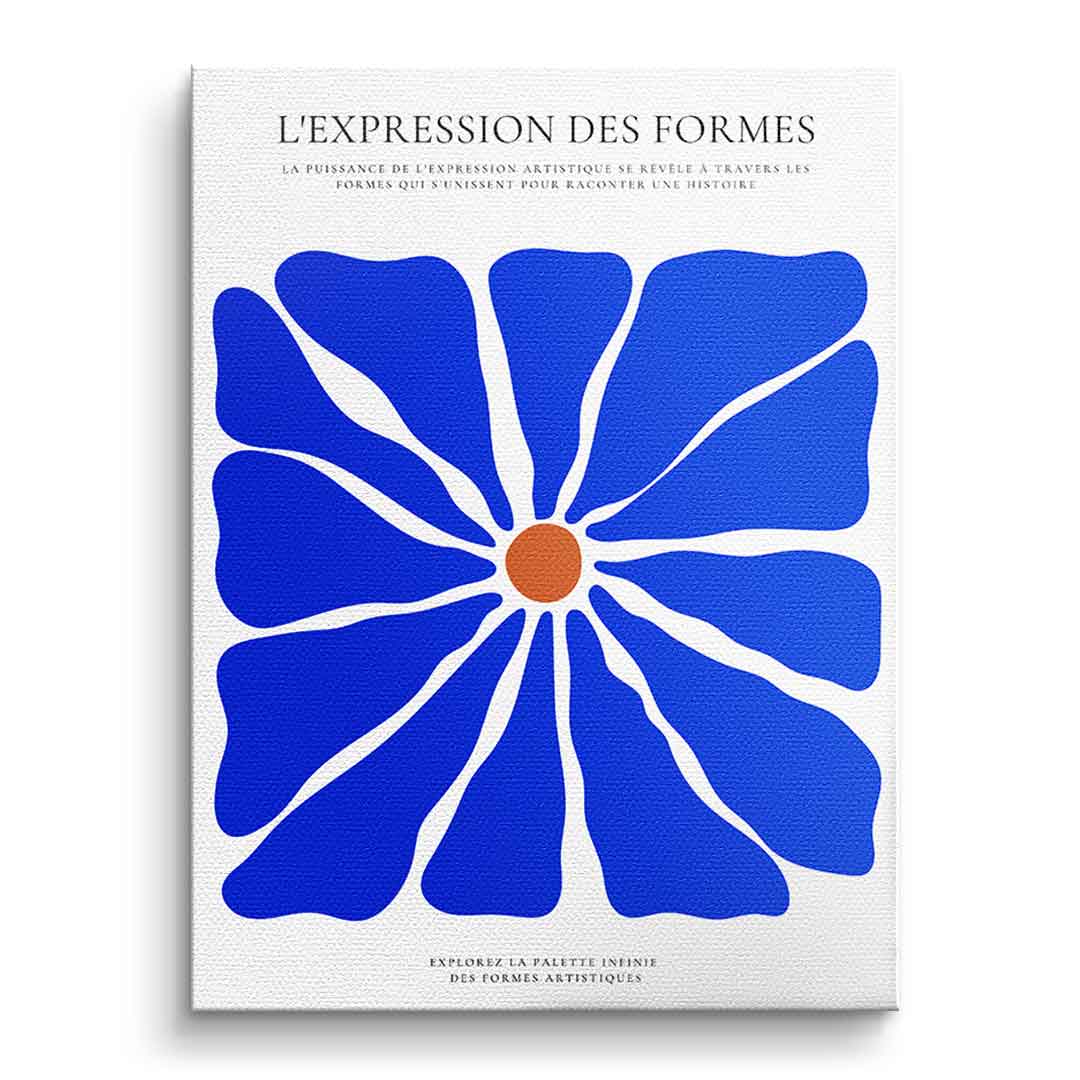 L´Expression des formes