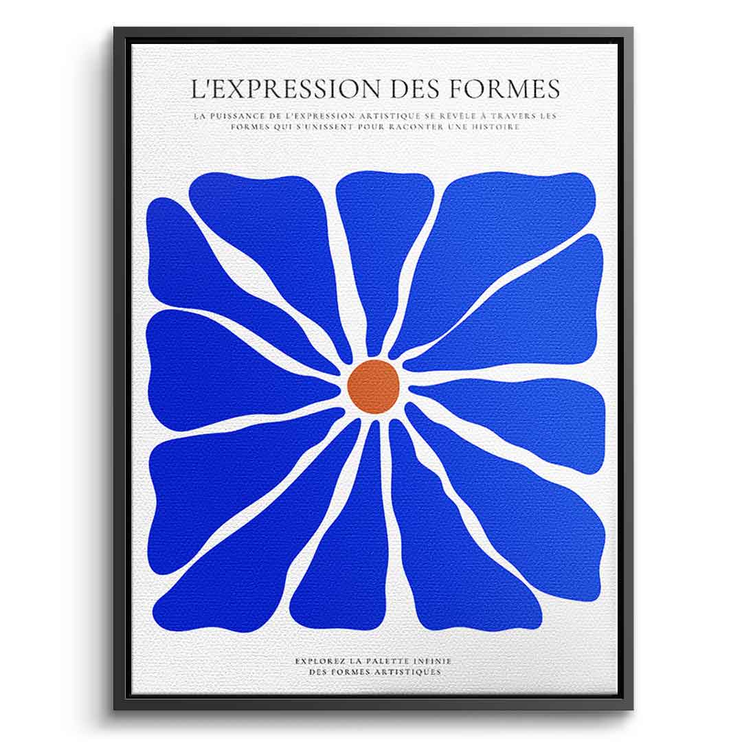 L´Expression des formes