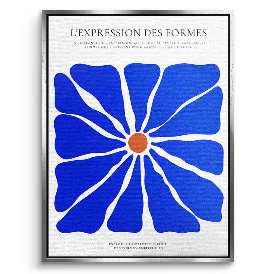 L´Expression des formes