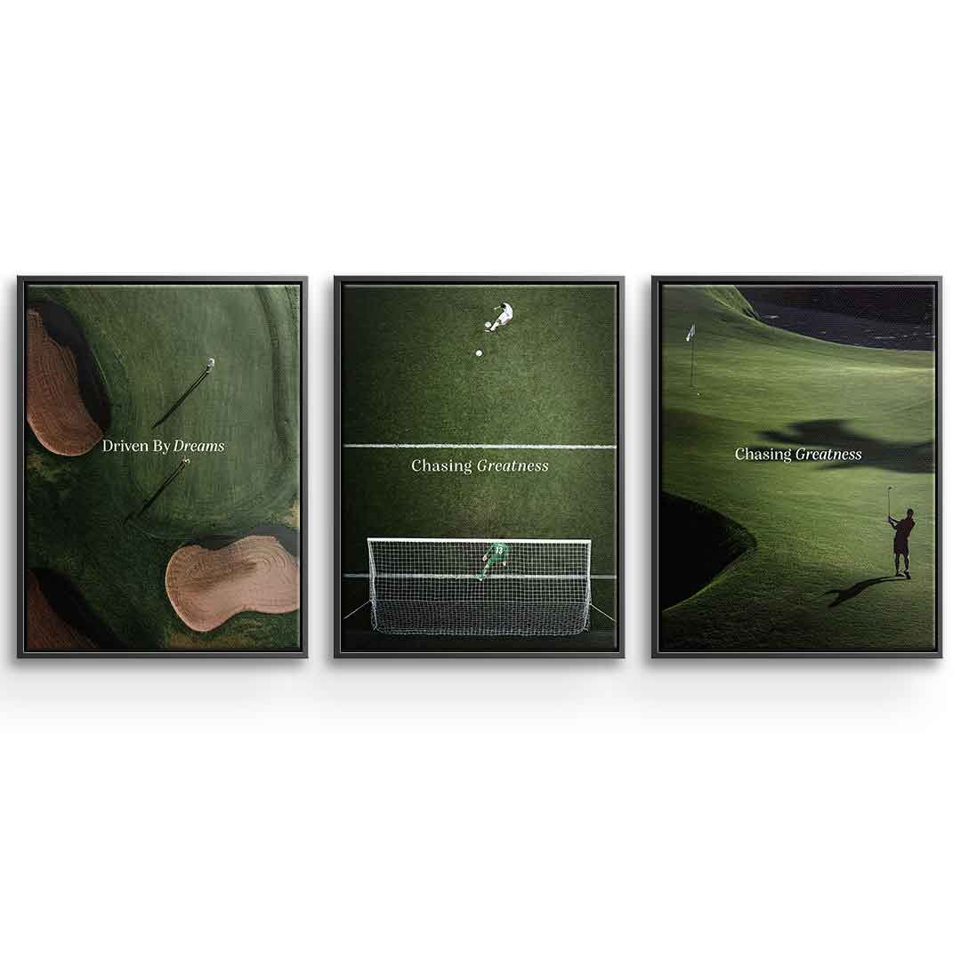 Sport Collection - Canvas 3x