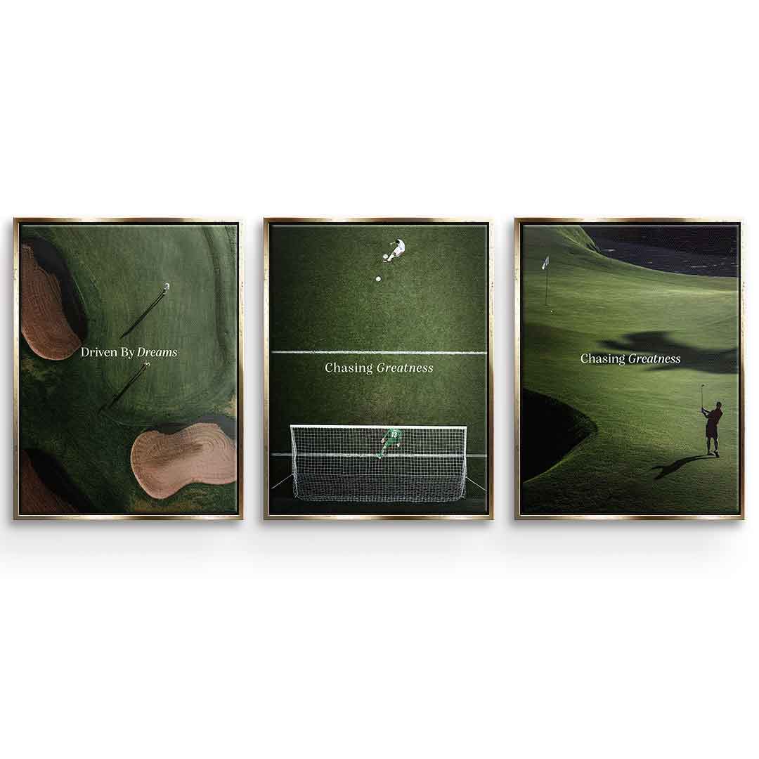 Sport Collection - Canvas 3x