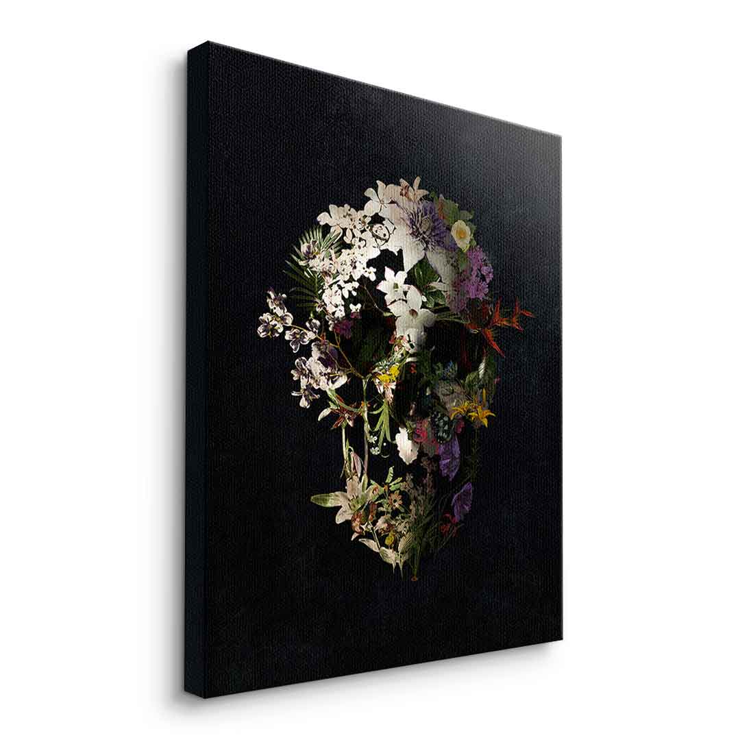 Spring Skull