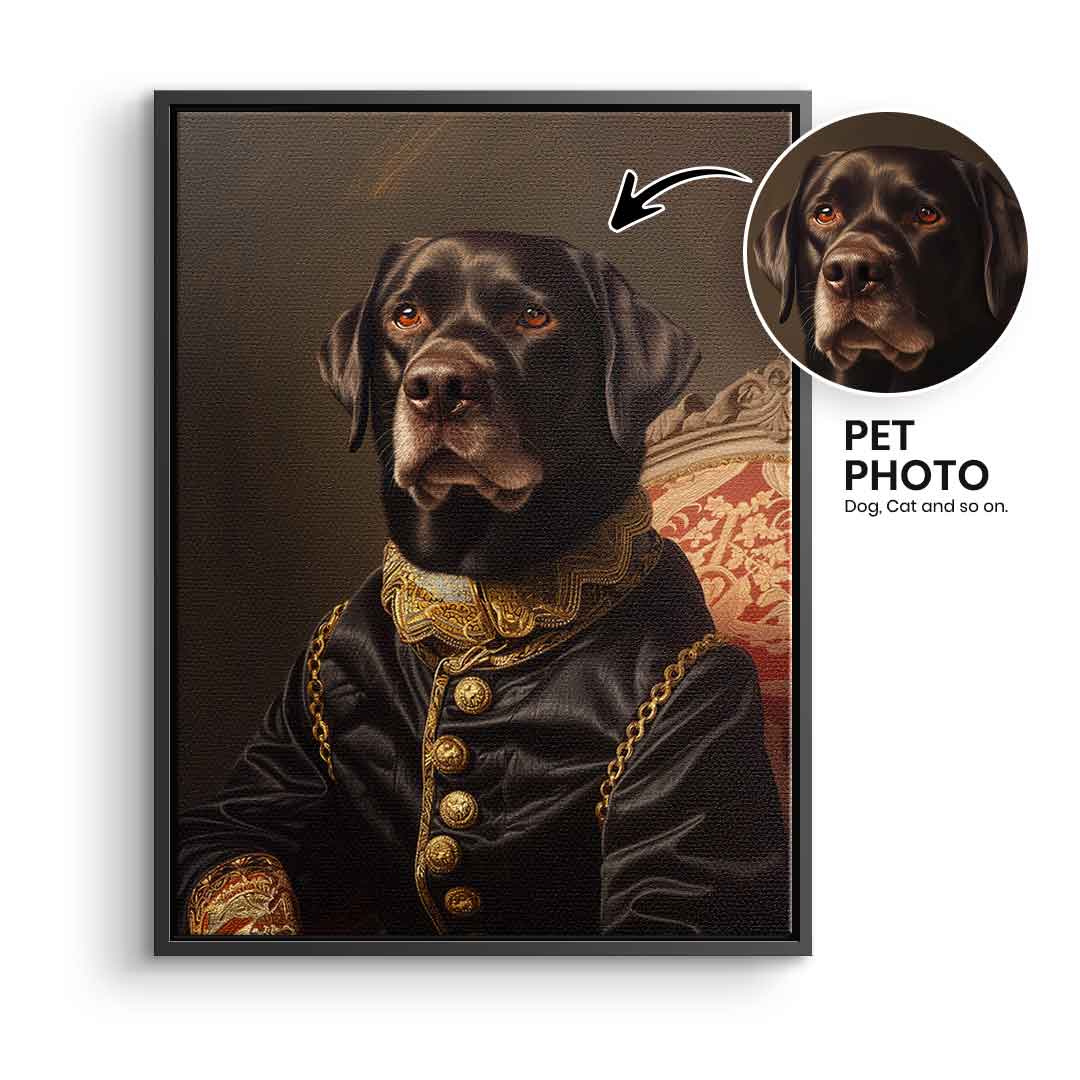 Renaissance 7 customizable