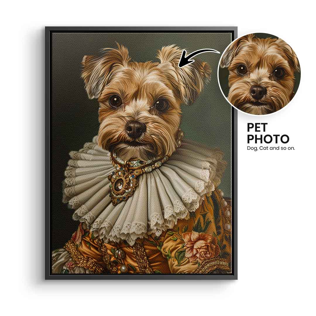 Renaissance 4 customizable