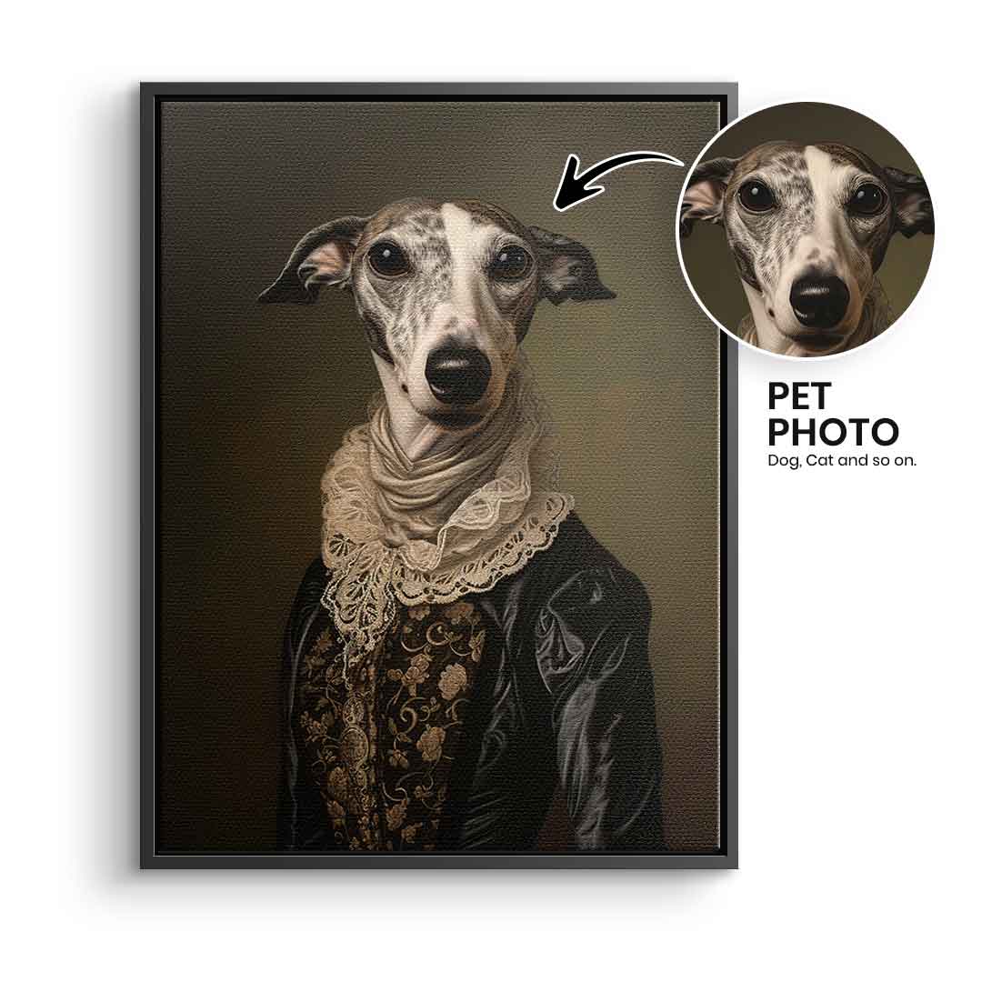 Renaissance 3 customizable